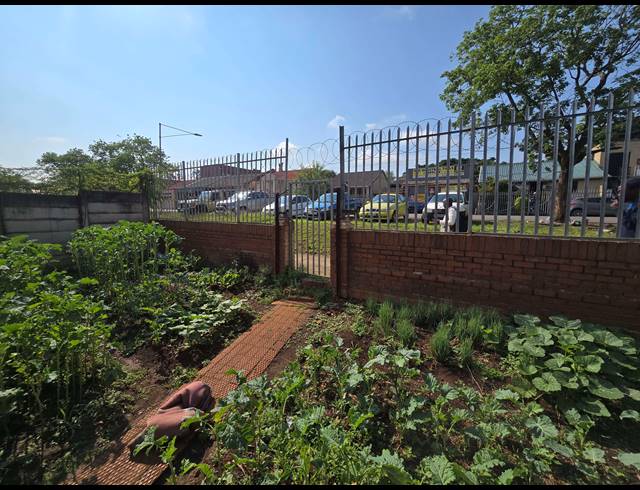 4 BEDROOM HOUSE FOR SALE IN PIETERMARITZBURG CENTRAL